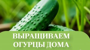 ПРОШЛО ТРИ ЧАСА ТАКОЙ РЕЗУЛЬТАТ.