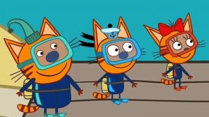 Три Кота Морские котики