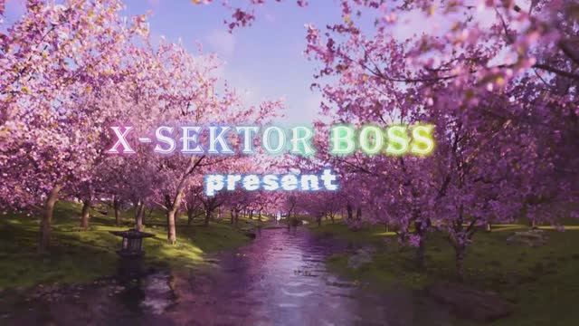 X-SektorBoss 230 - Двигайся в перёд