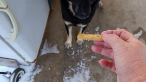 Нас много и мы в тельняшках