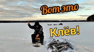 Эта рыбалка удивила!