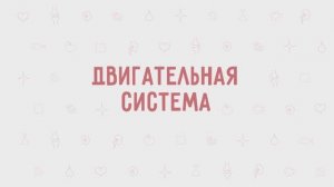 3.04 - Двигательная система