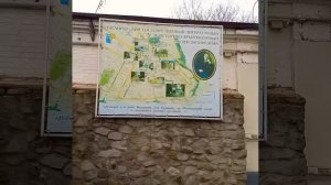 ДОМ А.П.ЧЕХОВА #shorts #история