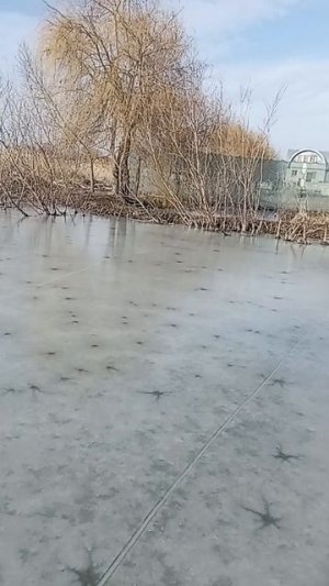 что то невероятное! река замёрзла!