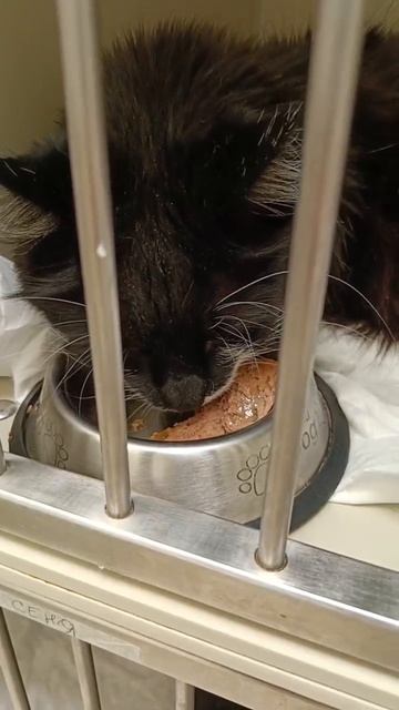 Стационар смотреть онлайн