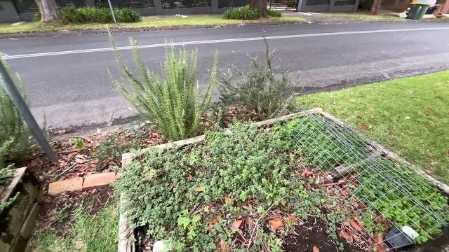 ВЫБРОШЕННАЯ МЕБЕЛЬ,ПОСУДА И ПОСЕЩЕНИЕ ОБЩЕСТВЕННОГО ОГОРОДА (Me & Australia) смотреть онлайн