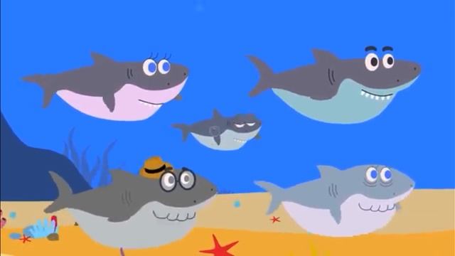 Акуленок туру акуленок