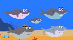 Акуленок туру акуленок