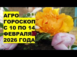 Почему 13 и 14 февраля 2026 года -  "золотые дни" для посадки лука на рассаду?!