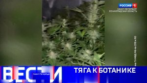 Вести Санкт-Петербург. Выпуск 08.00 от 08.02.2026