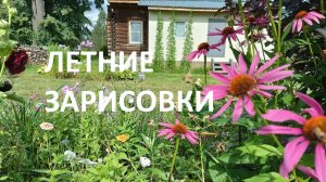 Летние зарисовки// мой цветник// клубника// иван чай и природа