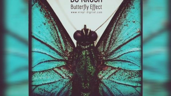 dj krush butterfly effect