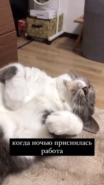 Когда приснилась работа 🤣🌚