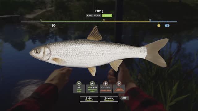 🔴Пытаюсь поймать 100 рыб за один стрим