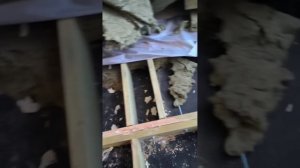 ООО "КАРМ-ДОМ" прежде, чем заказать дом, посмотрите видео