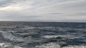 Карское море