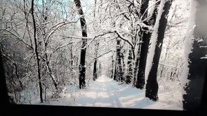 Сергей Милейко - Обращение к поклонникам...