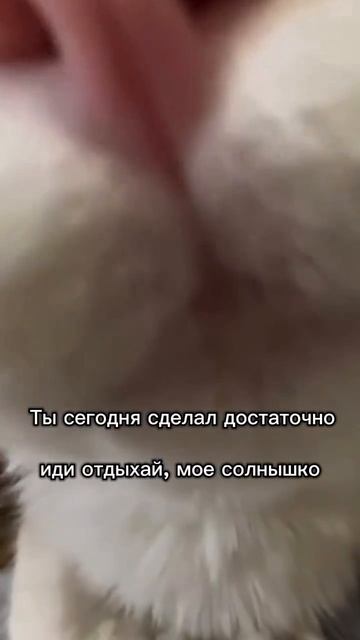 На канале PLUS послушайте почему с возрастом друзья исчезают и как реально найти новых смотреть онлайн