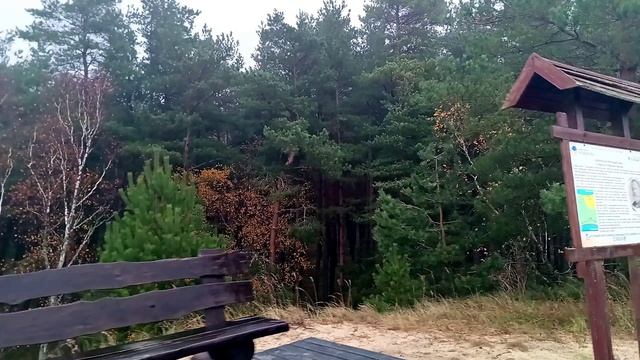 Калининград - Питер. Куршская коса, дюны, пляж, 4 часть, 1 серия экскурсионной поездки. смотреть онлайн