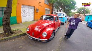 Манкиту впервые гуляют по Мексике.