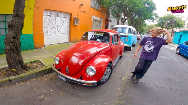 Манкиту впервые гуляют по Мексике.