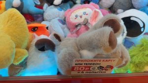 ИГРАЮ В НЕСКОЛЬКИХ АППАРАТАХ,ТАКОГО КРАСИВОГО ОЛЕНЁНКА НАМ ЕЩЁ НЕ ПРИВОЗИЛИ 🦌+МЕГА ХВАТАЙКА 🎰🎰