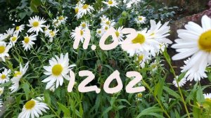 Лунный календарь Комнатного Цветовода с9.02-15.02.26г.