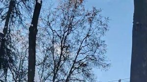 Доломал смартфон, сколько рыбы можно есть на похудении