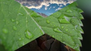 Весеннее пробуждение природа