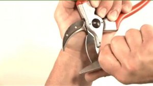 Заточка секатора точилкой с алмазным напылением