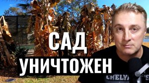 Сад во Флориде УНИЧТОЖЕН