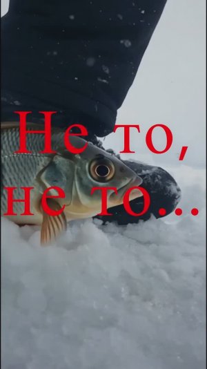 Давай, до свидания!