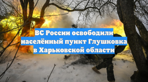 ВС России освободили населённый пункт Глушковка в Харьковской области