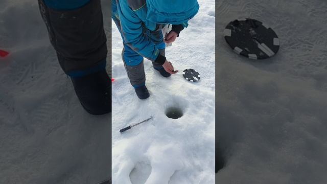 08-02-2026 смотреть онлайн