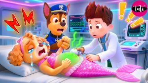 Щенячий патруль и Маршалл. Залипательное видео. Мультфильм для детей и малышей. Анимация 200