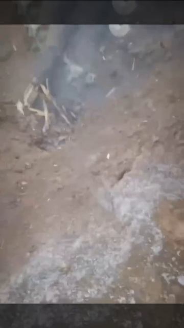 ❗🇷🇺⚔️🇺🇦⚡Успешный штурм позиций ВСУ и взятие двух пленных в районе Орехово-Василевки. смотреть онлайн