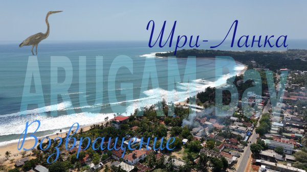 Шри-Ланка 🇱🇰 Sri Lanka. Arugam bay. Возвращение в рай 🌴#nature #beach #travel #srilanka