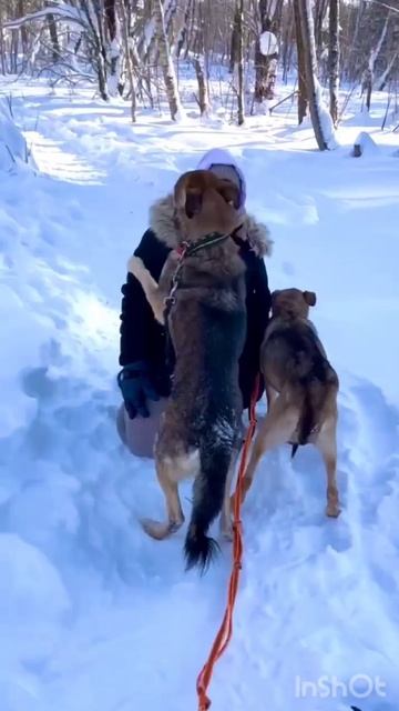 👩❤️👨 Ой! А кого мы тут застукалииии!