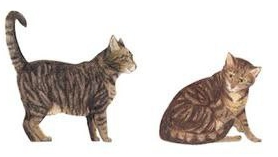 ПОДБОРКА ПО МУНВИЖН