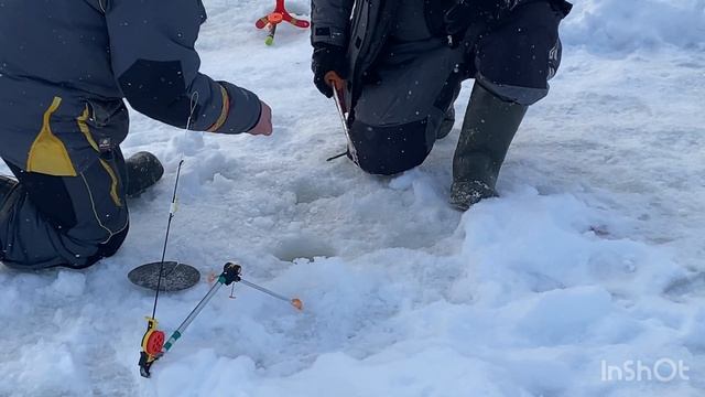 Ловим форель после запуска смотреть онлайн