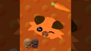 фантик + мандарин=канон