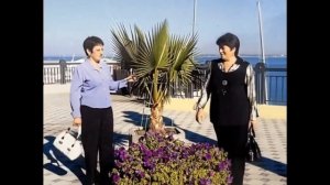 Неля 75. слайдшоу Соня .04.02.2026