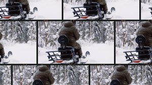 Невероятные приключения Борискиных в лесу))
