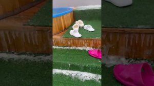 Видеообзор нового термального комплекса «Наутико» на ул. Октябрьской