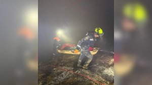 Автомобиль с людьми упал с 200-метрового обрыва в Крыму: кадры.