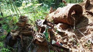 Коп по войне. Гельмут Вайссвальд. Фильм 489.