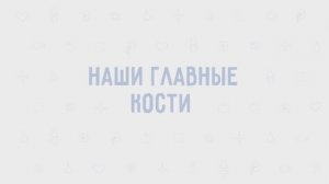 3.03 - Наши главные кости