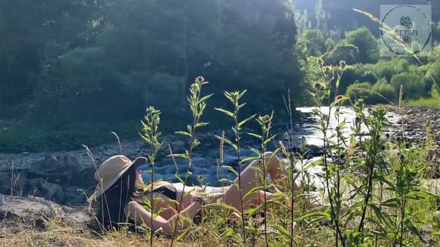 ГОРНЫЙ КЕМПИНГ С СОБАЧКОЙ НЕЛИ НА БРЕГУ ГОРНОЙ РЕКИ С ПАЛАТКОЙ смотреть онлайн