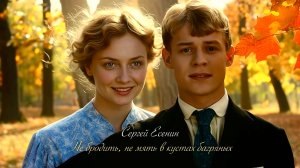 С.А. Есенин — Не бродить, не мять в кустах багряных…