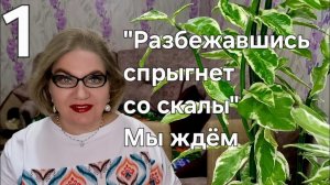 1 часть. "Разбежавшись спрыгнет со скалы "Мы ждём❗️